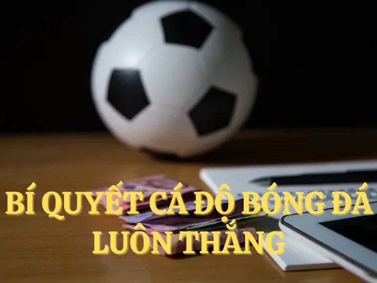 Cá Cược Bóng Đá 68Win: Bí Quyết Thắng Lớn Từ Cao Thủ