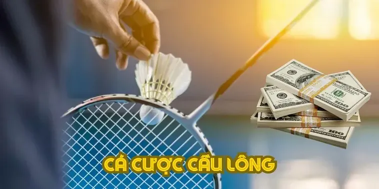 Bí Quyết Cá Cược Cầu Lông Tại 68Win: Hướng Dẫn Từ A-Z