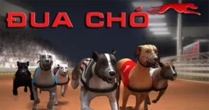 Bí Quyết Chinh Phục Game Nhanh Đua Chó Tại 68Win Trong 5 Phút